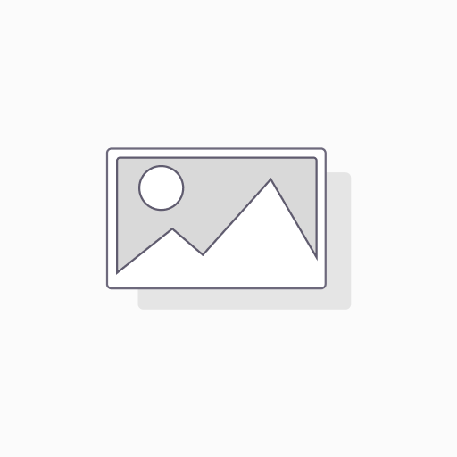 PRESTATION DE TECHNICIEN (heure)